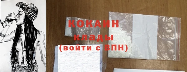 кокс Елизово