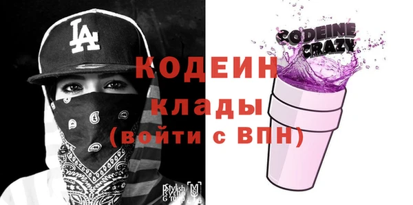 СК Ельня