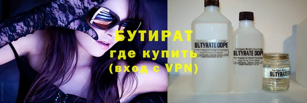 СК Ельня