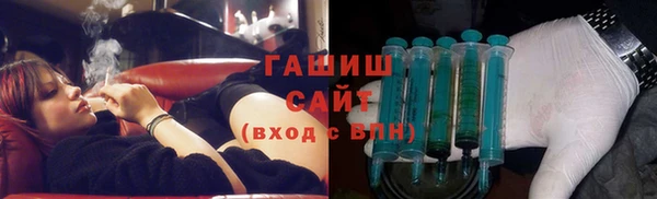 СК Ельня