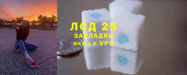 СК Ельня