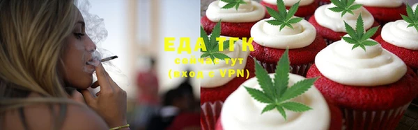 СК Ельня