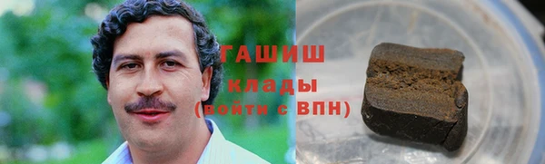 СК Ельня