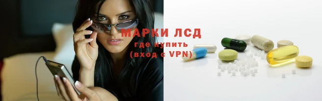СК Ельня
