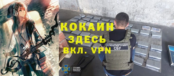 кокс Елизово