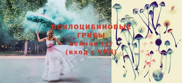 СК Ельня